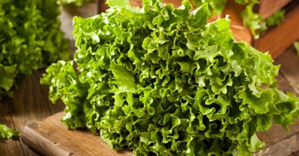 Chicken Lettuce Wraps Recipe 