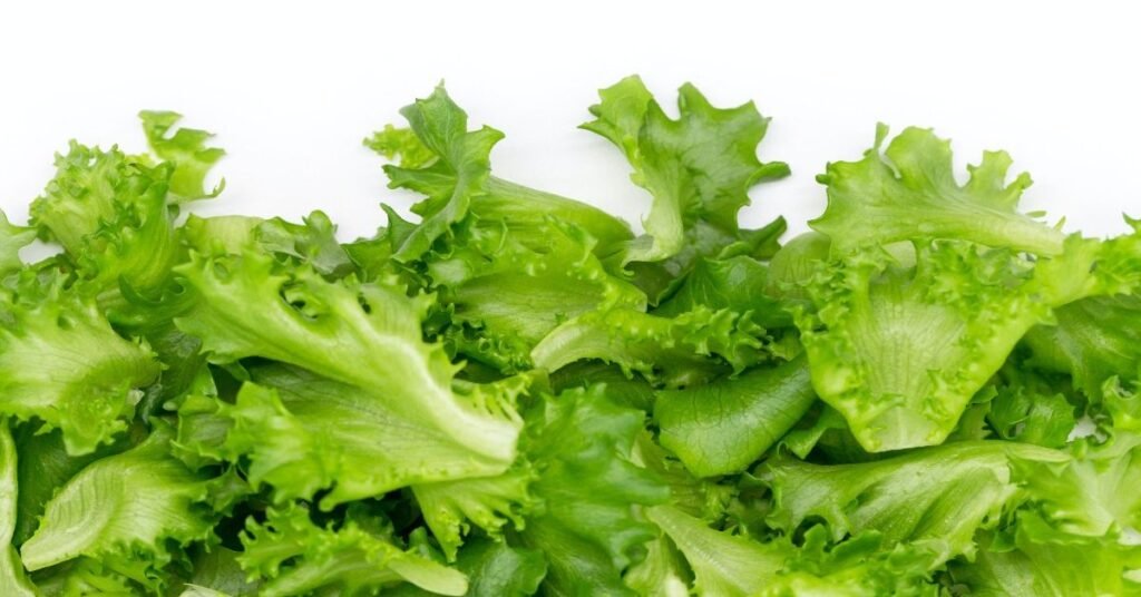 Chicken Lettuce Wraps Recipe 